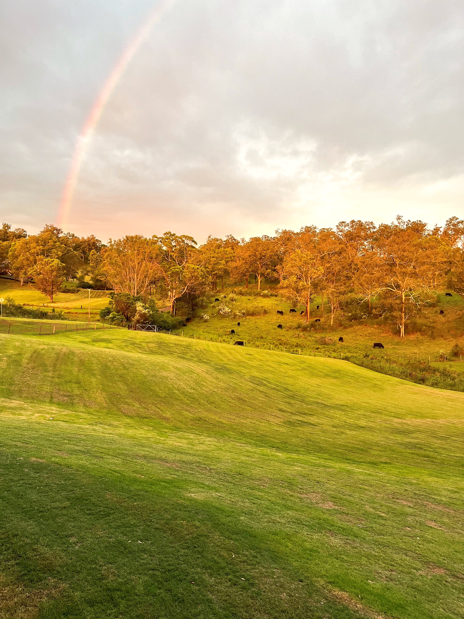 The BalmMe family farm in Wollombi, NSW